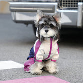Stain-resistant and dirt proof outdoor wearing raincoat for Teddy and Schnauzer